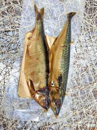 Image result for Clupea pallasii