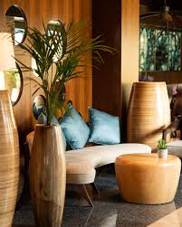 Image result for The Eau Zone