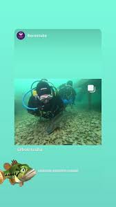 Image result for Hampstead Sub-Aqua Club