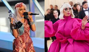 Image result for lady gaga meat dress