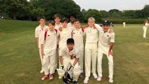Image result for Halstead Colts Cricket Club