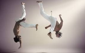 Image result for Brazilian-martial arts
