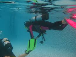 Image result for Lutterworth Sub-Aqua Club