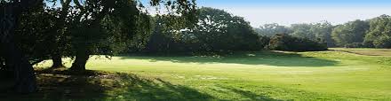 Image result for Wimbledon Common Golf Club