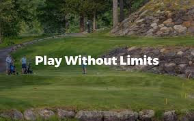 Image result for Ipswich Open Ultimate