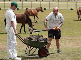 Image result for Worplesdon & Burpham Cricket Club