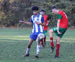 Image result for Chiddingfold Youth Fc