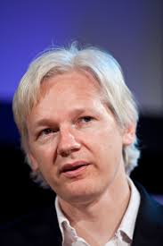 Image result for julian assange