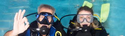 Image result for Harlow Sub-Aqua Club