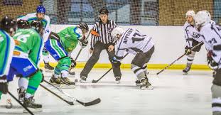 Image result for Streatham Night Wolves Ice Hockey Team