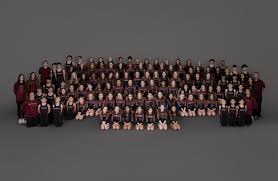 Image result for Horsham Gymnastics Club