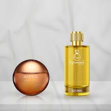 Attēlu rezultāti vaicājumam “Amara sp.”