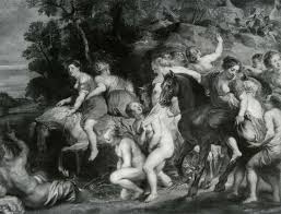 Attēlu rezultāti vaicājumam “Collaria rubens”