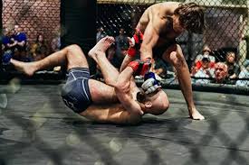 Image result for Professional  Martial Arts Academy