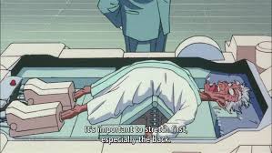 Image result for roujin z