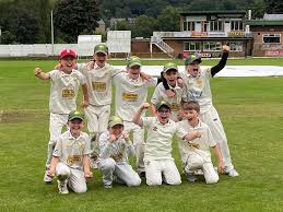 Image result for Walsden Cricket Club