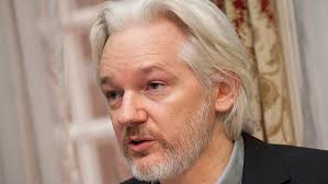 Image result for julian assange