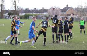 Image result for Old Wokingians Football Club