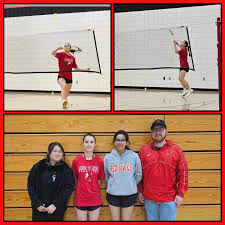 Image result for Meadow Sports Badminton Club