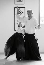 Image result for Zen Shin Seicho Do Adult Karate