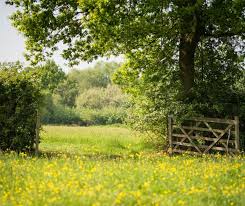 Image result for Grimsargh Cricket Club