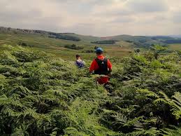 Image result for Dark Peak Fell Runners Club