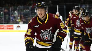 Image result for Arbroath Hurricanes Skater Hockey Club