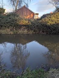 Image result for Taunton Angling Association