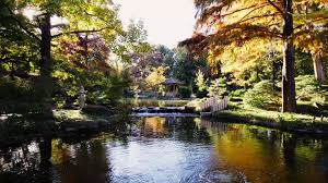 Image result for japanese gardens...