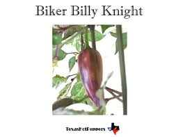 Afbeeldingsresultaat voor biker billy jalapeno hot pepper