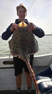 Image result for Braintree Sea Angling Club