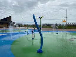 Image result for Aberavon Swimming Club