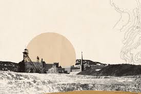 Attēlu rezultāti vaicājumam “Tubifera montana young”