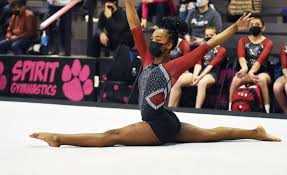 Image result for Bevendean Gymnastic Club