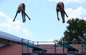 Image result for Jesters Diving Club