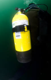 Image result for Meadurst Sub-Aqua Club