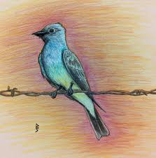 Image result for Bird