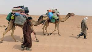 Image result for Nomads