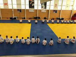 Image result for Kenshukai Karate
