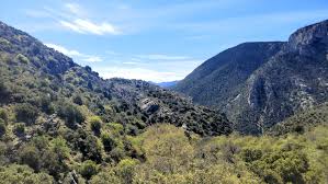 Attēlu rezultāti vaicājumam “Leporida”