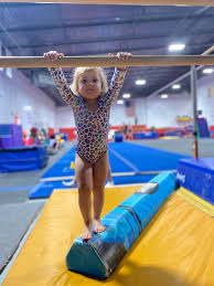 Image result for Wyre Forest Gymnastic School