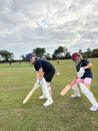 Image result for Narberth Cricket Club