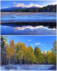 Image result for $$fall_akte__ort$$