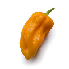 Afbeeldingsresultaat voor mme jeanette hot pepper