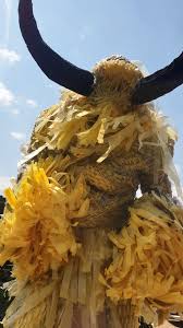 Image result for van vuuren theron