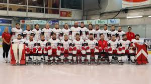 Image result for Swindon Panthers