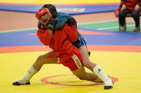Image result for Combat Sambo