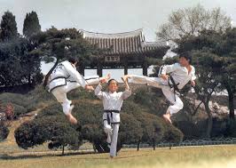 Image result for Itf Taekwondo Woking