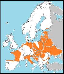 Attēlu rezultāti vaicājumam “Heteropterus morpheus upperside”