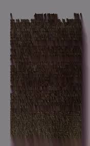 Attēlu rezultāti vaicājumam “Diderma cingulatum young”